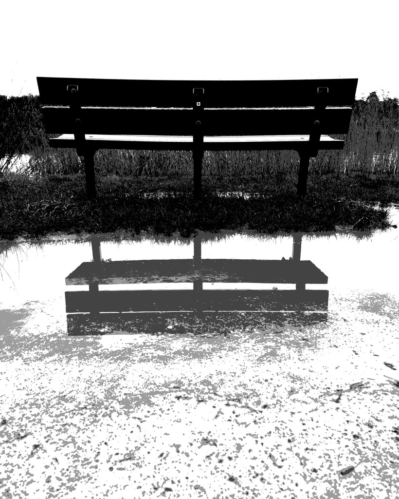 Bench by moonbi