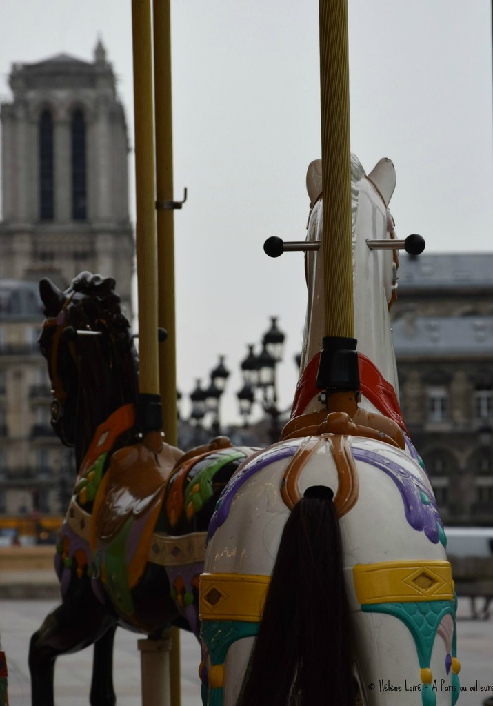 Horse-ride with a view on Notre Dame by parisouailleurs