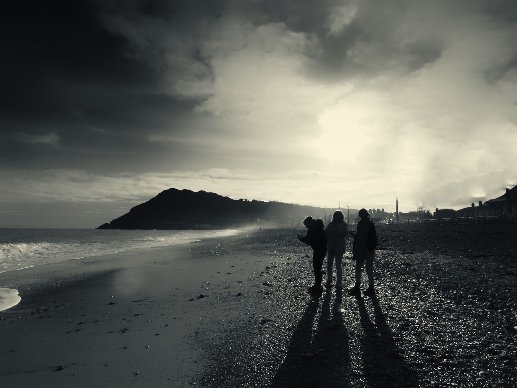 Beach silhouettes by m2016