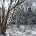 Winter in Nova Scotia by novab