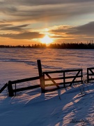 16th Jan 2020 - Winter Sunrise