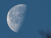 16th Jan 2020 - moon