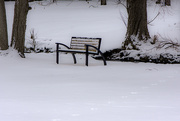 16th Jan 2020 - The Bench