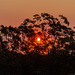 Bushfire Sunset by corymbia