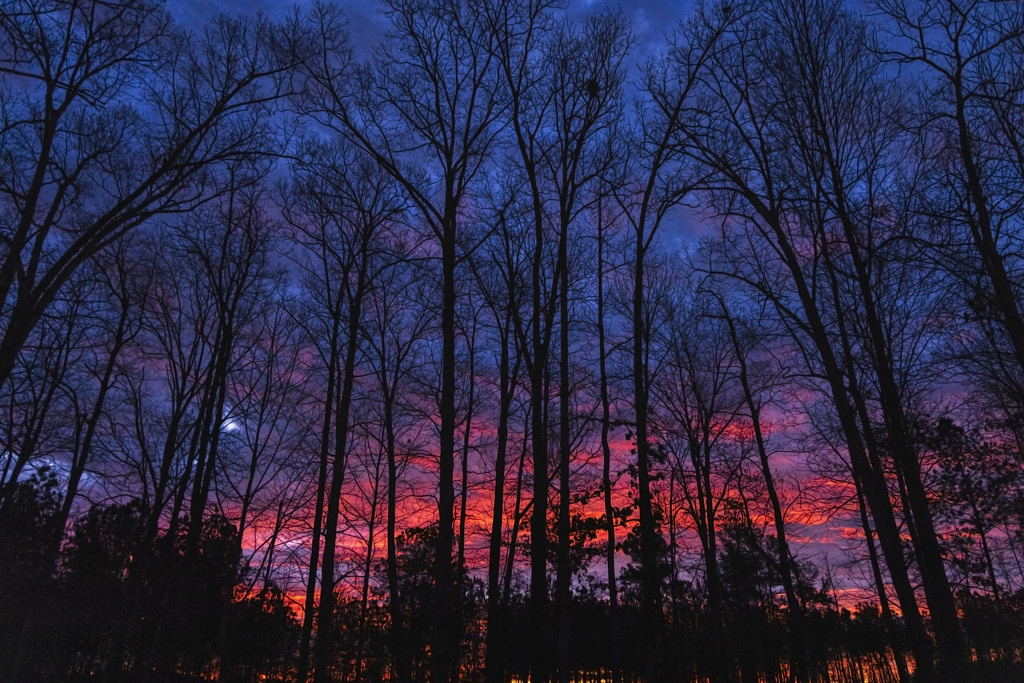 Fiery Sunrise by kvphoto