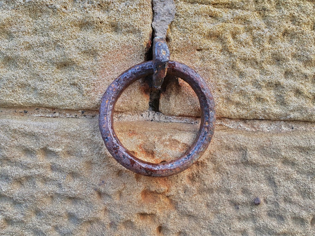 Old horse tie ring by isaacsnek
