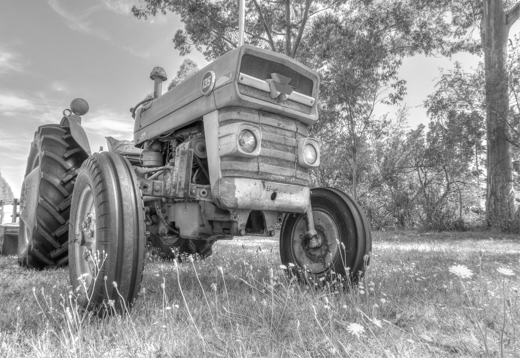 Ferguson 135 Tractor by creative_shots