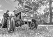 29th Aug 2019 - Ferguson 135 Tractor