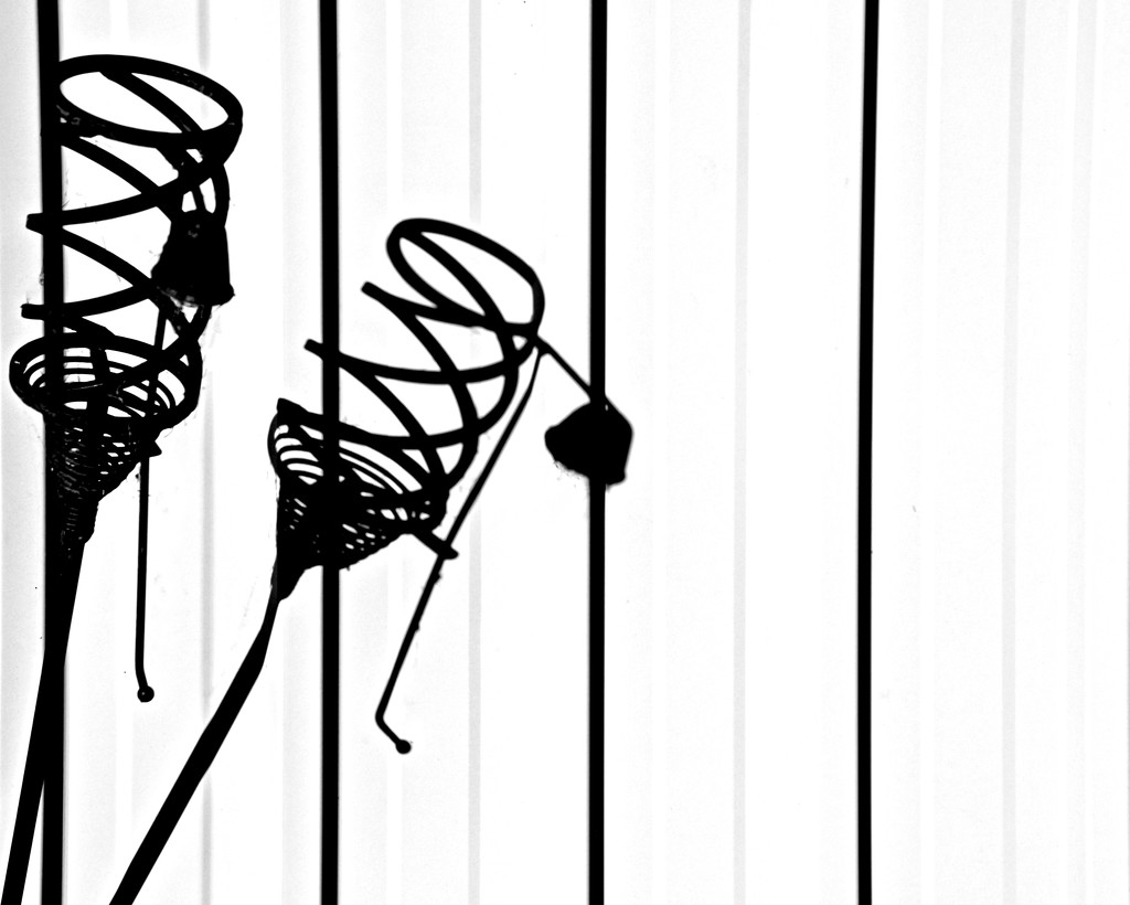 Spiral silhouettes by kiwinanna