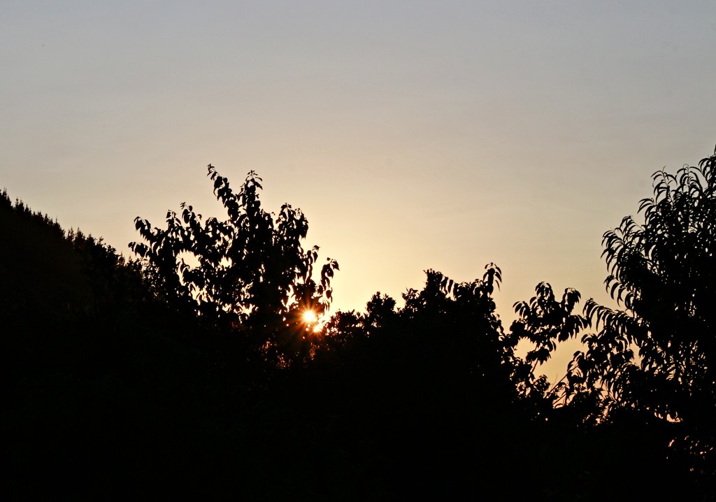 Sundown by kiwinanna