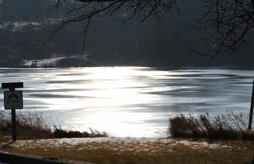 Sunshine on Ice by lynnz