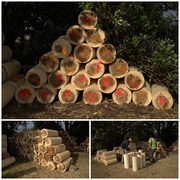 18th Jan 2020 - Wood Chopping