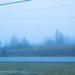 Fog by randystreat