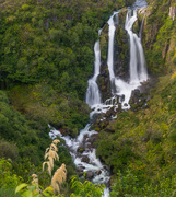 31st Aug 2019 - Waipunga Falls