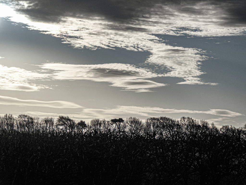 Trees and clouds by frequentframes