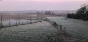 19th Jan 2020 - Frost, fog & molehills.
