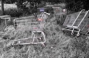 19th Jan 2020 - Shopping Carts