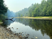 17th Jan 2020 - Ovens River