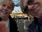 20th Jan 2020 - Karen and me +swan