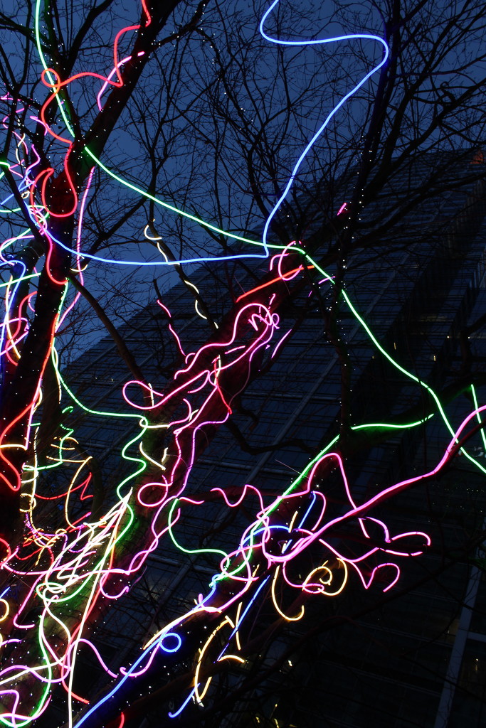18th Jan Neon Tree by valpetersen