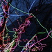 18th Jan Neon Tree by valpetersen