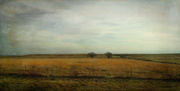 20th Jan 2020 - Prairie Grass