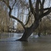 Burst Banks of the Great Ouse by helenhall