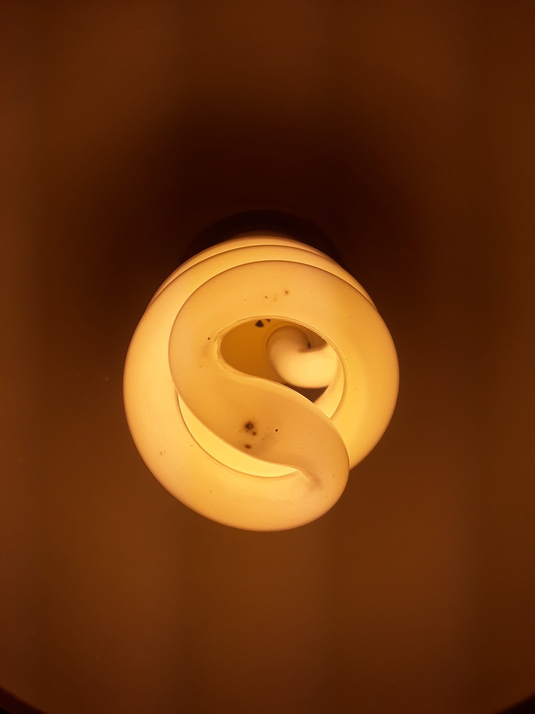 a bulb by digitalfairy