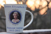 21st Jan 2020 - Frosty Queen with a Sunrise Behind