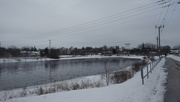 21st Jan 2020 - Cold Day by the River