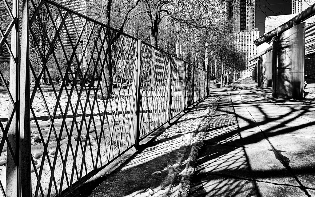 Urban Winter Walk in the Shadows by taffy