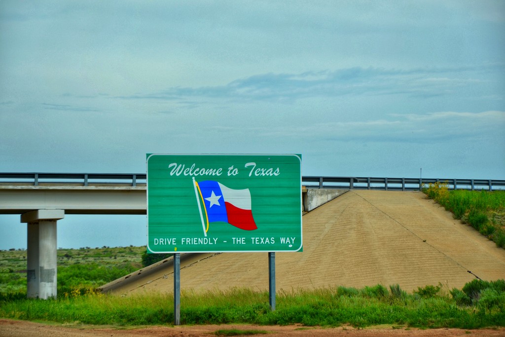 “Drive Friendly - The Texas Way”  by louannwarren