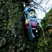 Tree climbing! by allsop