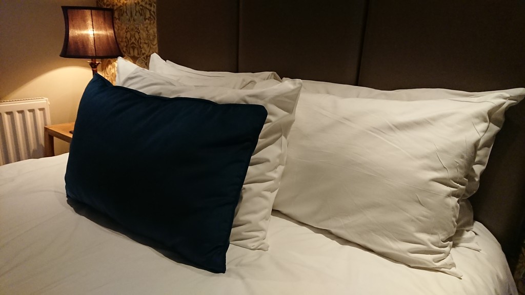 How many pillows does a chap need?  by peadar