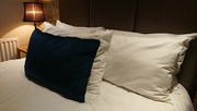 22nd Jan 2020 - How many pillows does a chap need? 