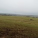 Dartmoor on a bleak January afternoon.  by jennymdennis