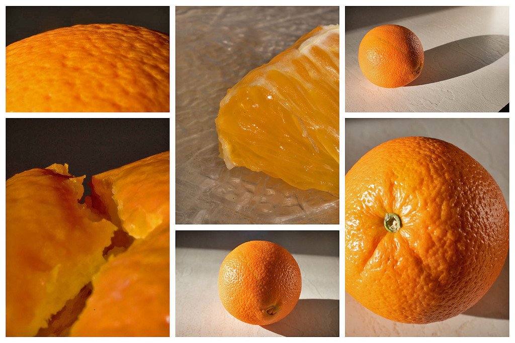 One Orange, Many Photos by tdaug80