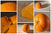 23rd Jan 2020 - One Orange, Many Photos