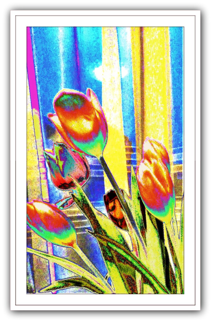 Tulips - abstract  by beryl