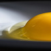 Egg by novab