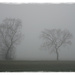 misty morning by gijsje