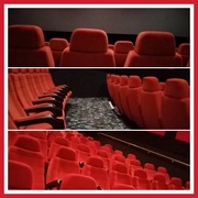 24th Jan 2020 - At the Cinema 