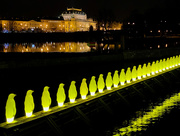 20th Jan 2020 - Prague Penguin Procession