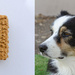Dog Cookie by salza
