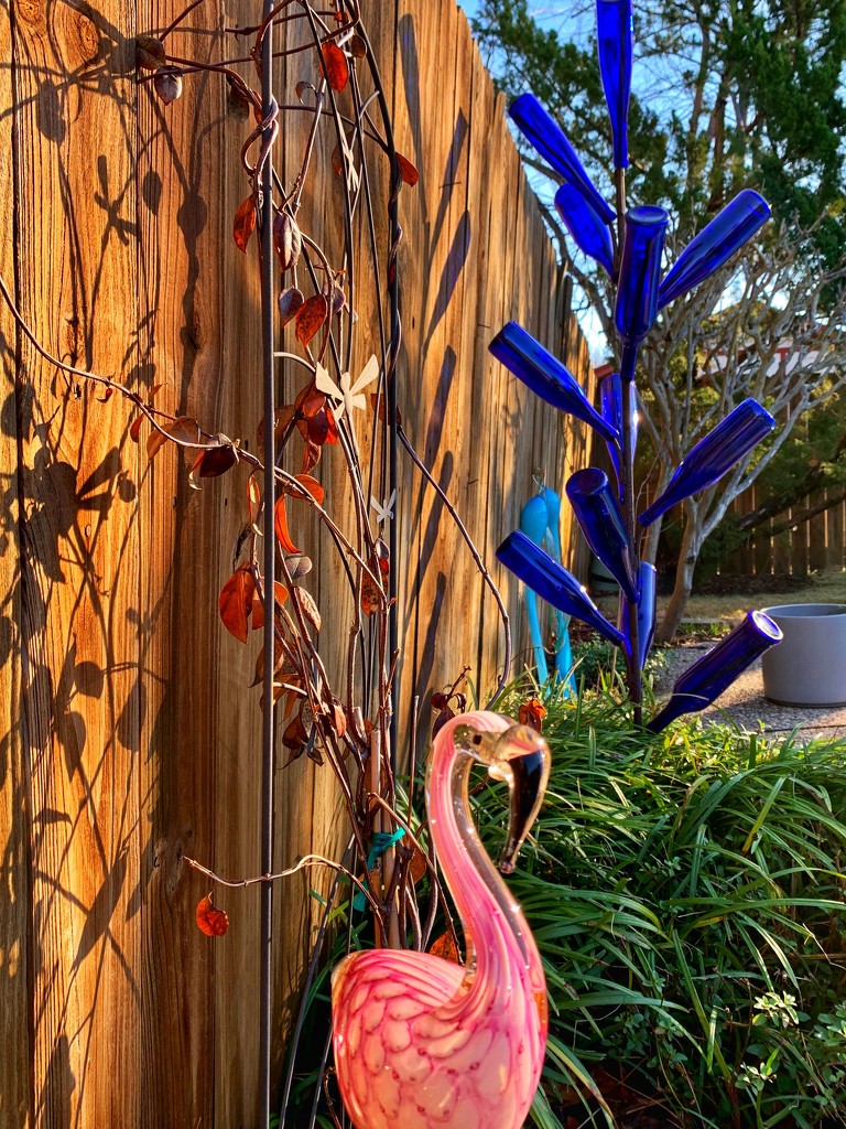 Jill’s Flamingo in the winter sun by louannwarren