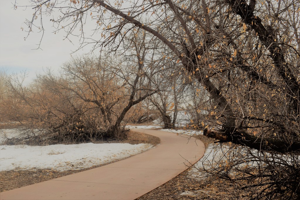 Poudre River Trail by sandlily