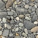 Stoney pattern by corymbia