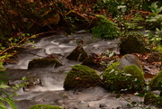 24th Jan 2020 - Mossy boulders in the stream....