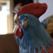 May I present the lovely aqua Mexican Talavera rooster, for my “Macro Guess #3” reveal by louannwarren