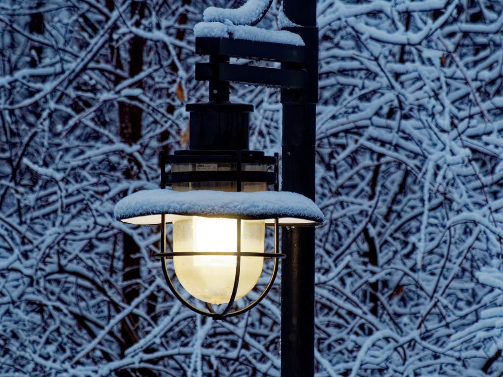 lamppost by rminer